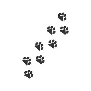 動物の足跡のアイコン2 商用利用可能なフリーアイコン素材サイト Sato Icons